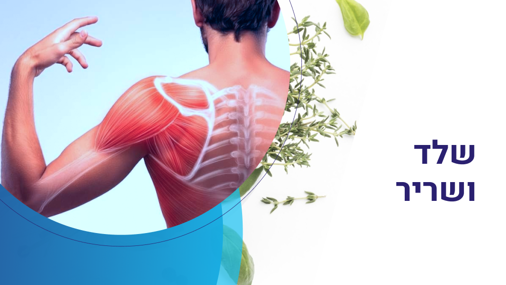 tiltan.college проблема со звуком в уроке (שלד ושריר)