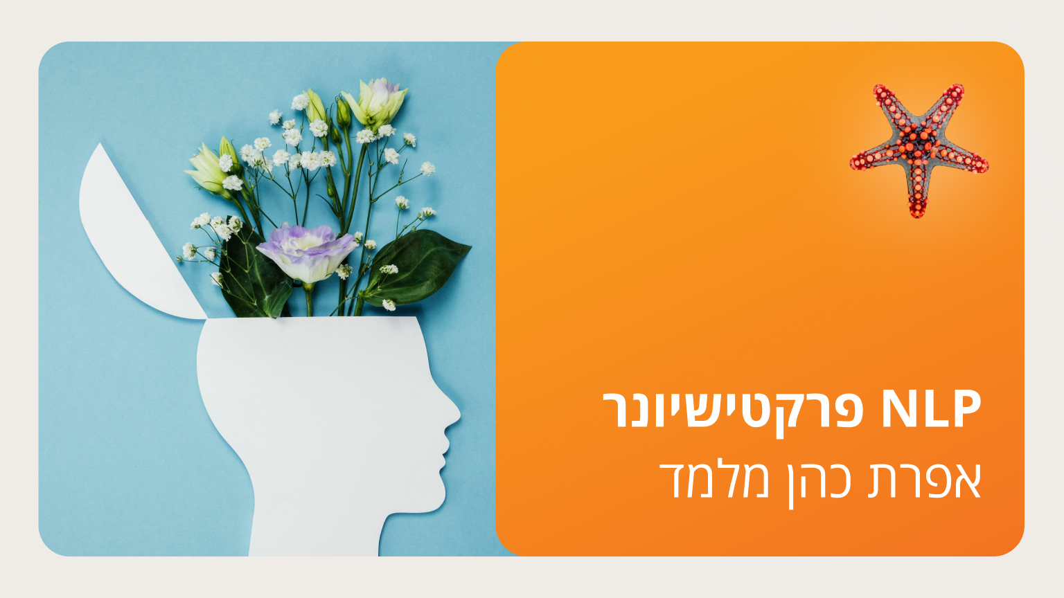 NLP פרקטישיונר