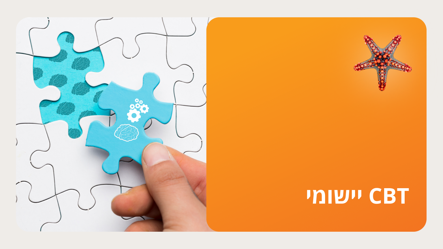 קורס CBT - סמסטר ב' ימי שני