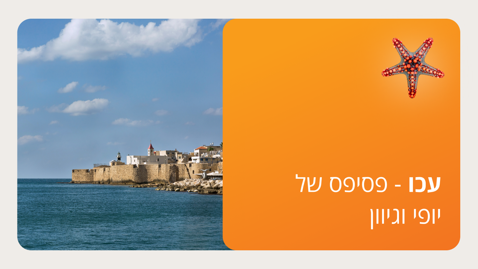 עכו - פסיפס של יופי וגיוון