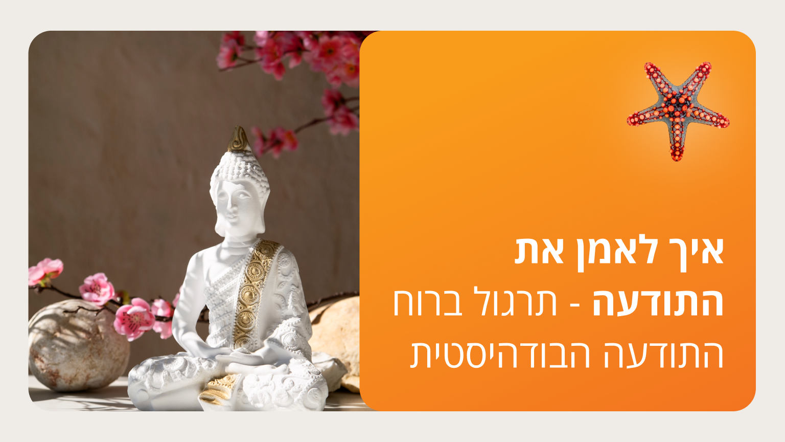 איך לאמן את התודעה - תרגול ברוח התודעה הבודהיסטית