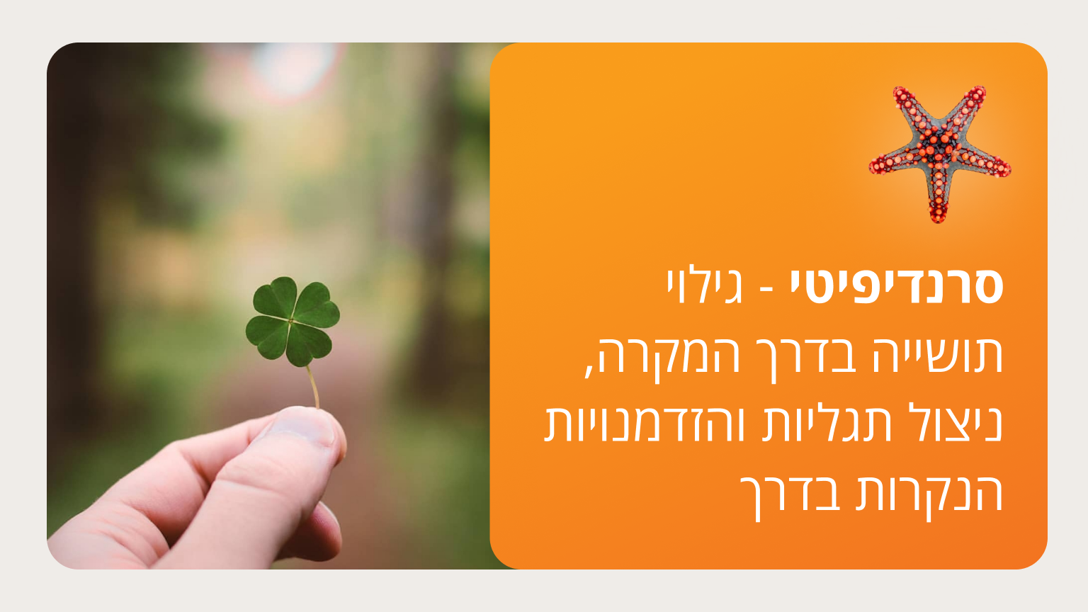 סרנדיפיטי - גילוי תושייה בדרך המקרה, ניצול תגליות והזדמנויות הנקרות בדרך