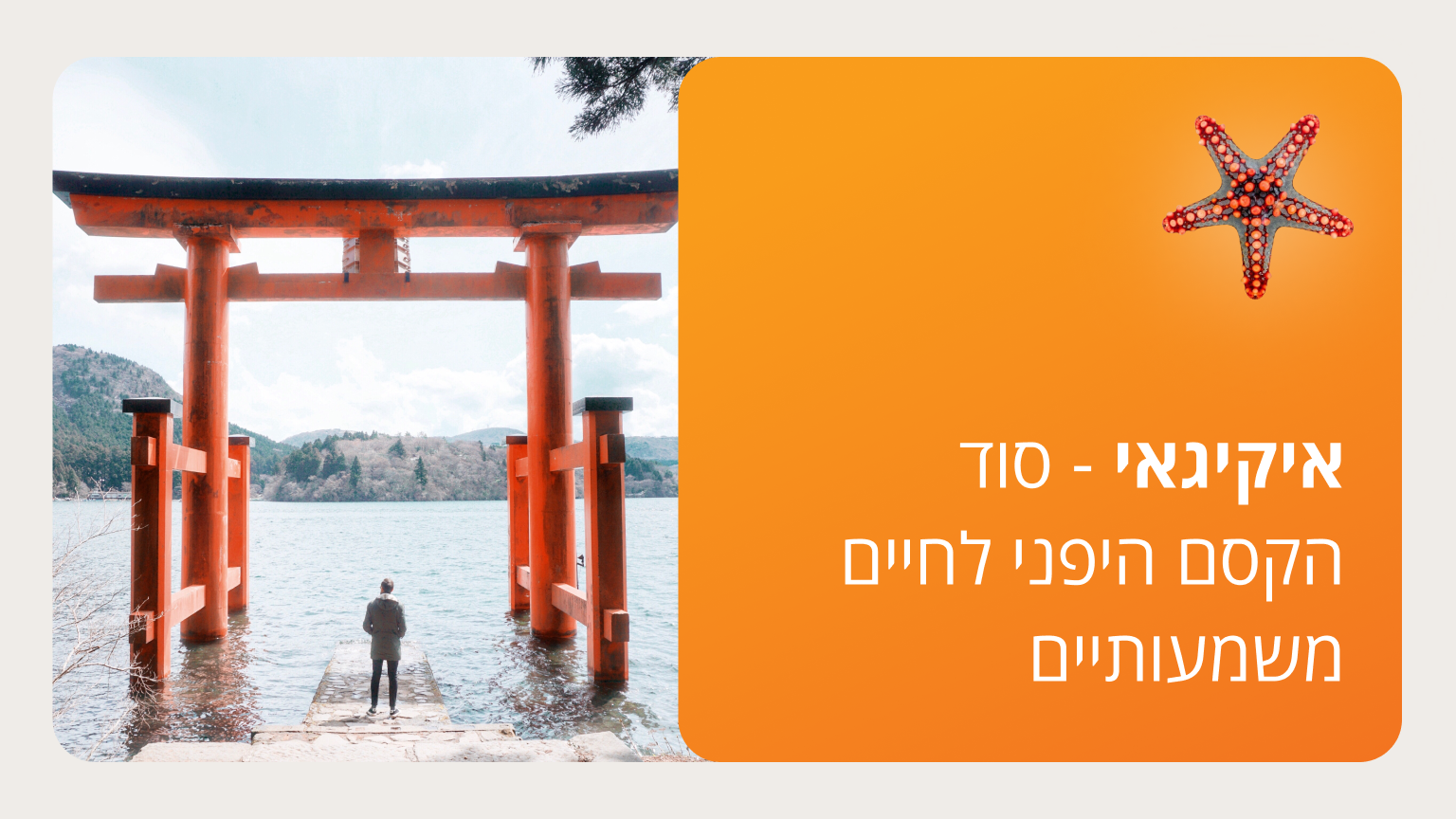 איקיגאי - סמסטר ב'