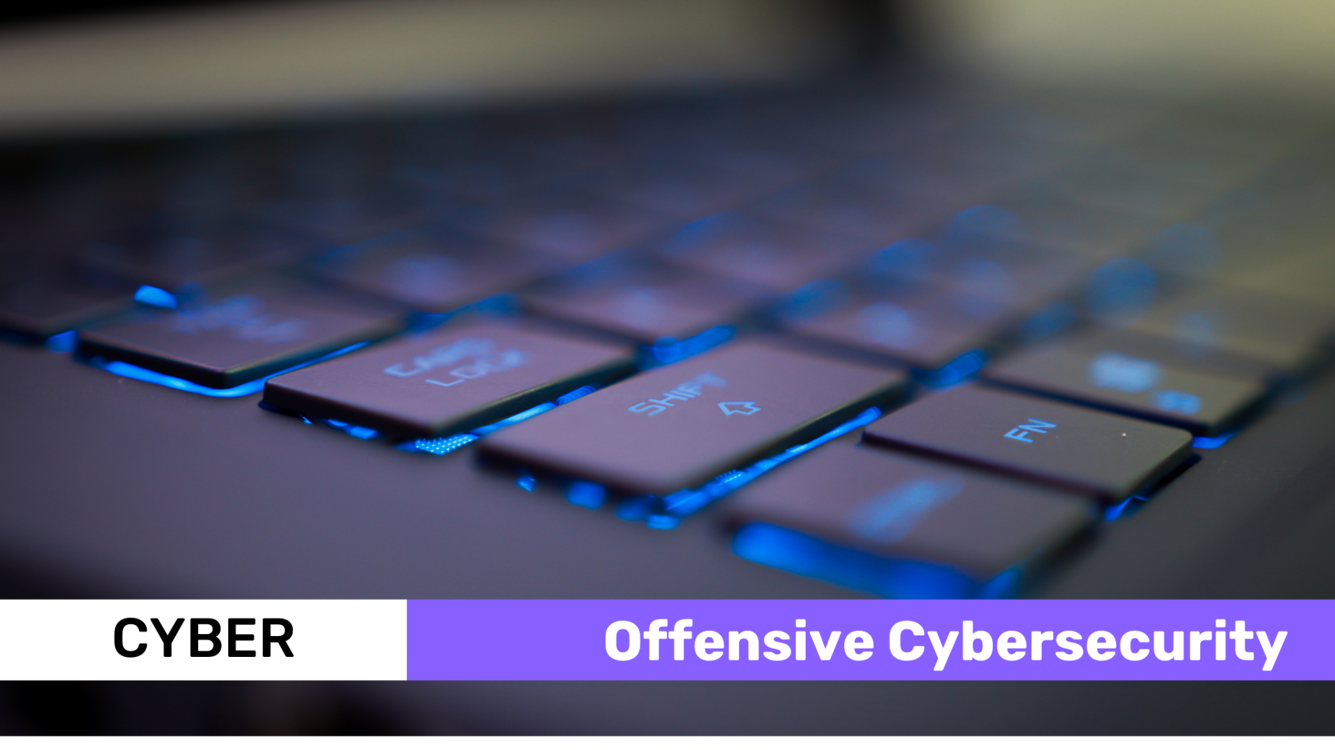 Offensive Cybersecurity 4/4