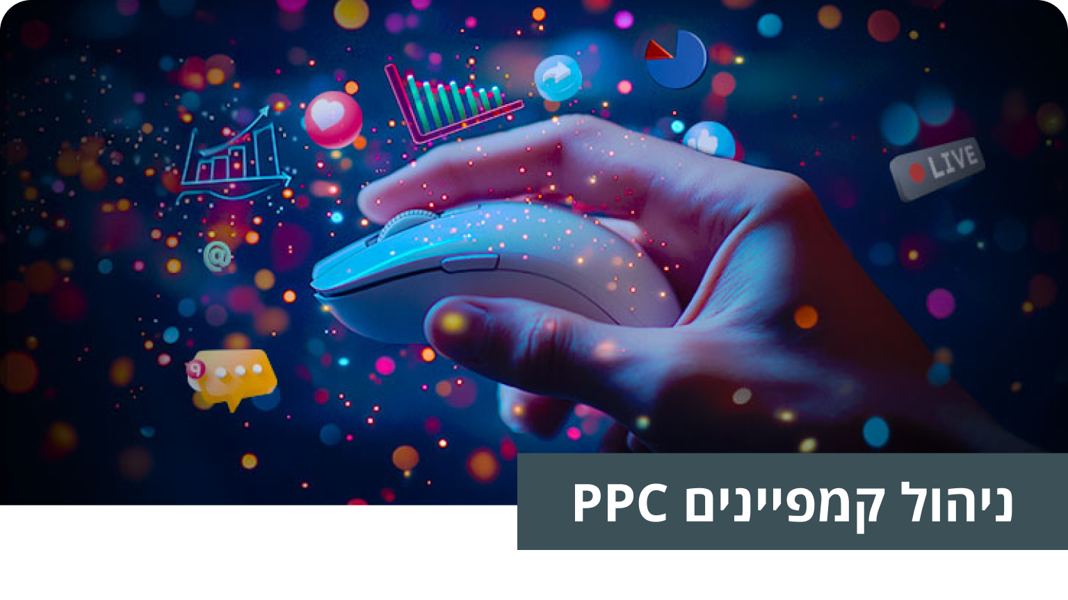 ניהול קמפיינים PPC